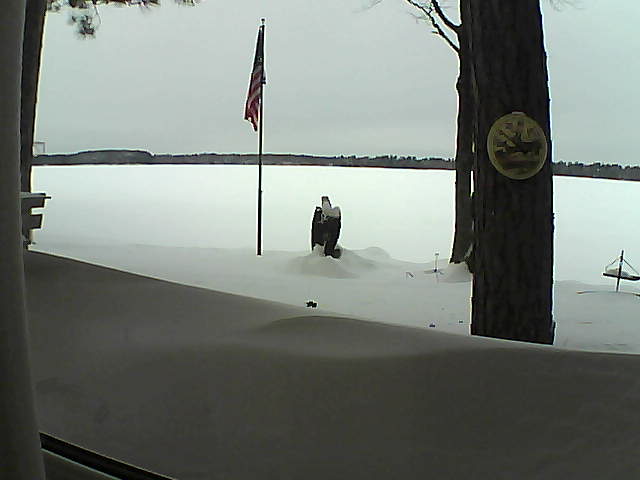 Whiteface Cam Image - Sat, 02/09/2019 1:15pm 