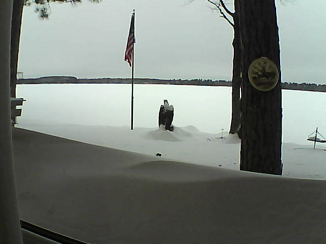 Whiteface Cam Image - Sat, 02/09/2019 1:25pm 