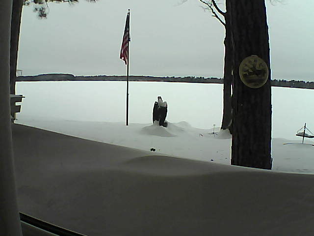 Whiteface Cam Image - Sat, 02/09/2019 2:15pm 