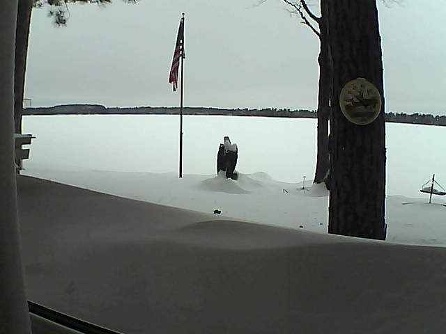 Whiteface Cam Image - Sat, 02/09/2019 2:35pm 