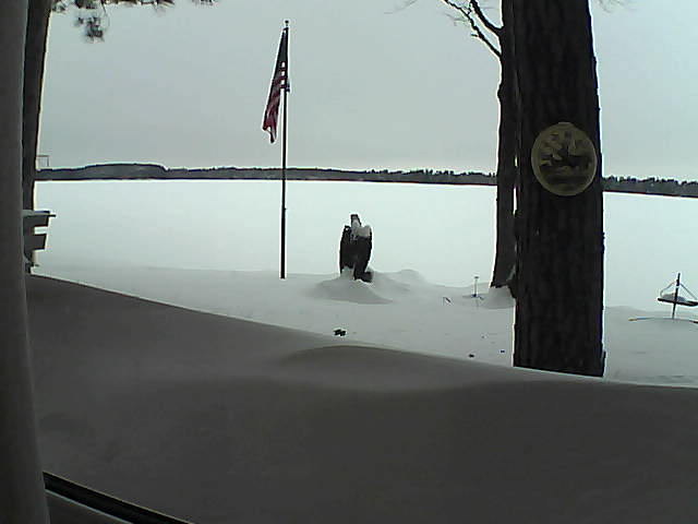 Whiteface Cam Image - Sat, 02/09/2019 3:05pm 