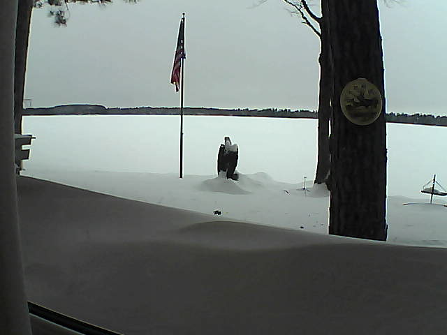 Whiteface Cam Image - Sat, 02/09/2019 3:15pm 