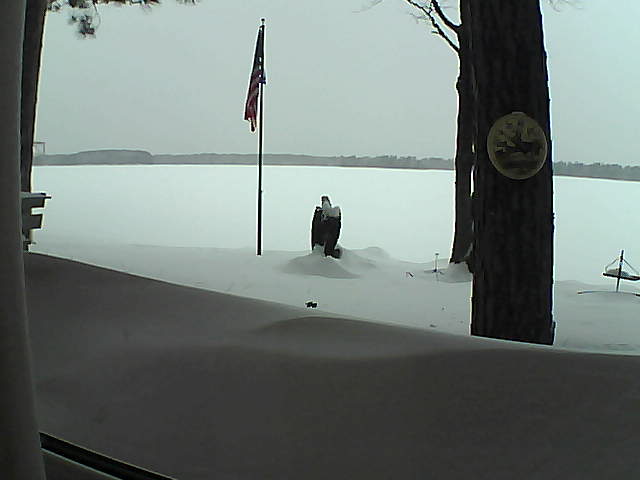 Whiteface Cam Image - Sat, 02/09/2019 4:45pm 