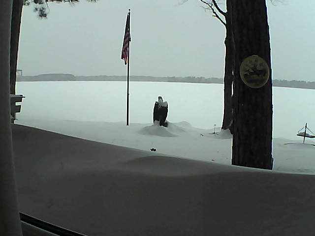 Whiteface Cam Image - Sat, 02/09/2019 4:55pm 