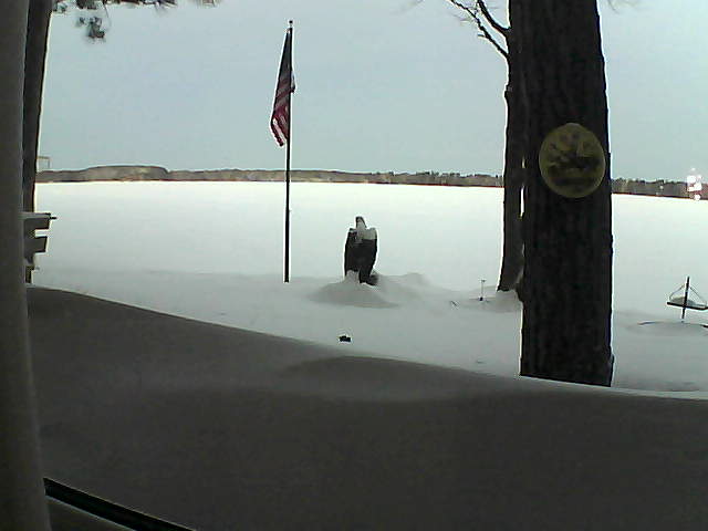 Whiteface Cam Image - Sun, 02/10/2019 7:02am 