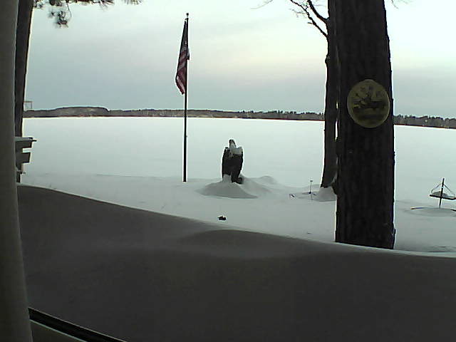 Whiteface Cam Image - Sun, 02/10/2019 7:22am 