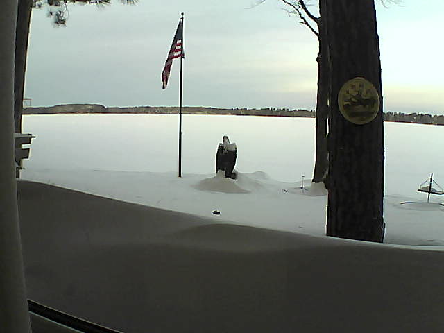 Whiteface Cam Image - Sun, 02/10/2019 7:42am 