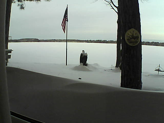 Whiteface Cam Image - Sun, 02/10/2019 8:02am 