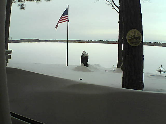 Whiteface Cam Image - Sun, 02/10/2019 8:12am 