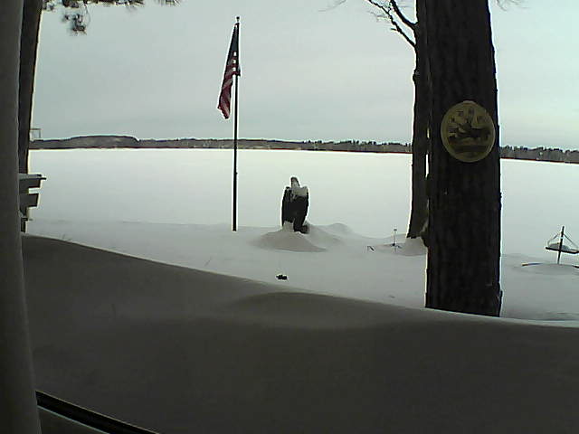 Whiteface Cam Image - Sun, 02/10/2019 8:32am 