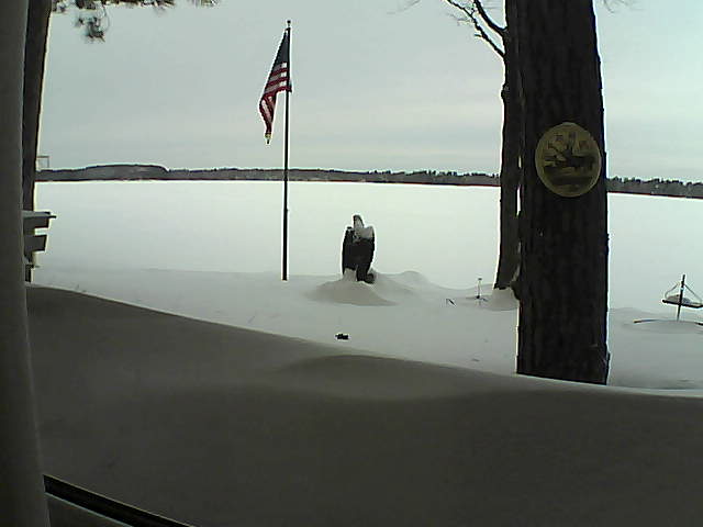 Whiteface Cam Image - Sun, 02/10/2019 8:52am 