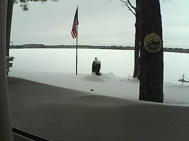 Whiteface Cam Image - Sun, 02/10/2019 9:02am 