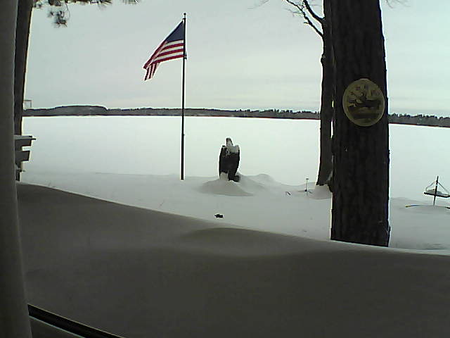 Whiteface Cam Image - Sun, 02/10/2019 9:12am 