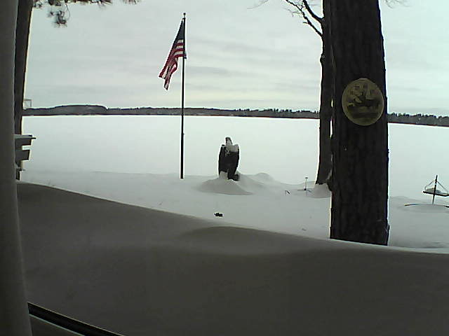 Whiteface Cam Image - Sun, 02/10/2019 9:32am 