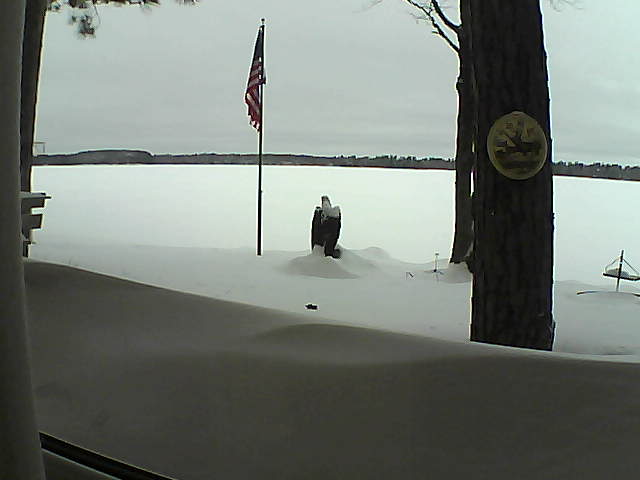 Whiteface Cam Image - Sun, 02/10/2019 10:02am 