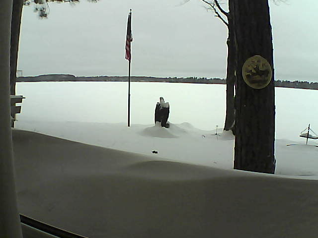 Whiteface Cam Image - Sun, 02/10/2019 10:12am 