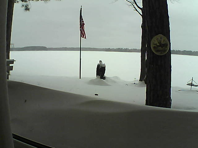 Whiteface Cam Image - Sun, 02/10/2019 11:52am 