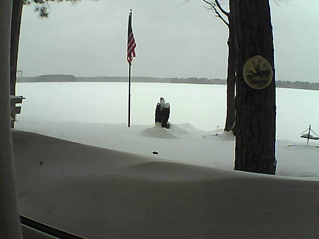 Whiteface Cam Image - Sun, 02/10/2019 12:12pm 