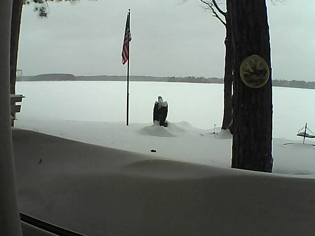 Whiteface Cam Image - Sun, 02/10/2019 12:22pm 