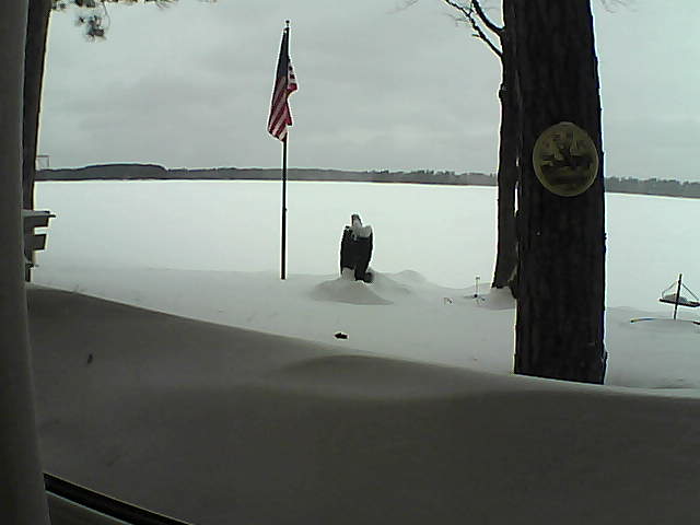 Whiteface Cam Image - Sun, 02/10/2019 1:23pm 