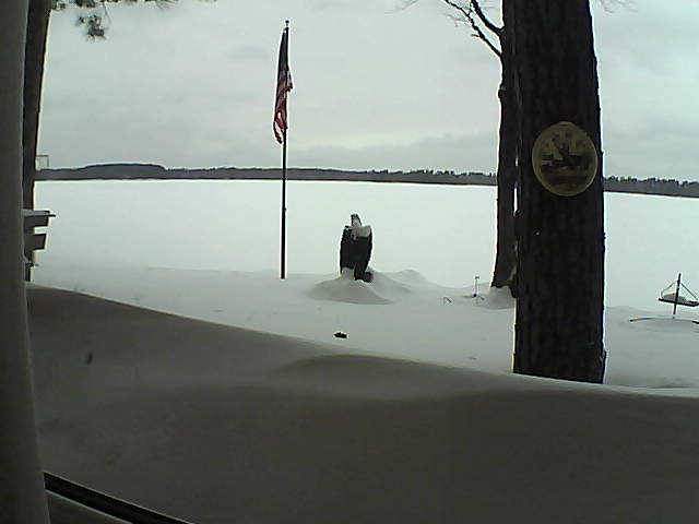 Whiteface Cam Image - Sun, 02/10/2019 1:33pm 