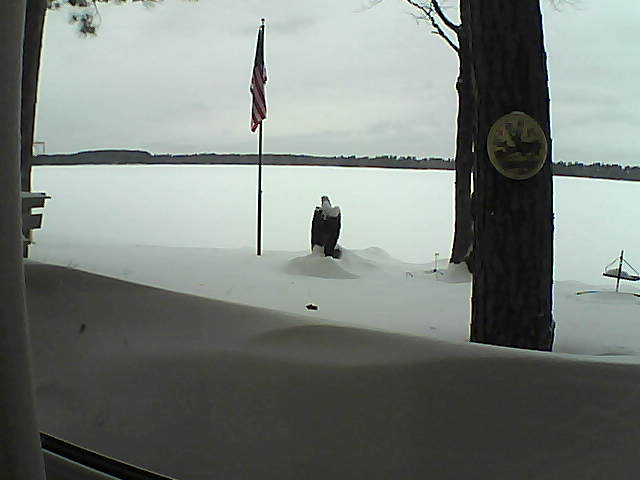 Whiteface Cam Image - Sun, 02/10/2019 1:43pm 