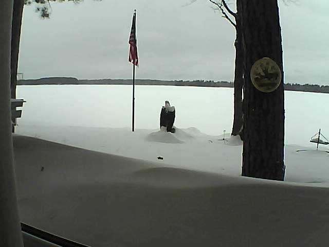 Whiteface Cam Image - Sun, 02/10/2019 1:53pm 