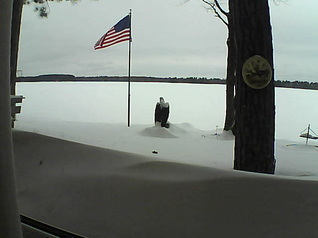 Whiteface Cam Image - Sun, 02/10/2019 2:03pm 