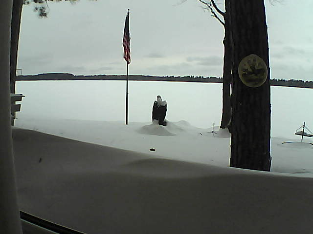 Whiteface Cam Image - Sun, 02/10/2019 2:13pm 