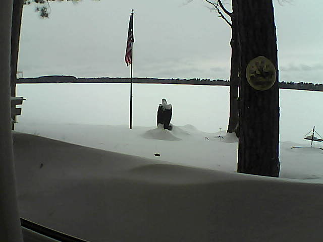 Whiteface Cam Image - Sun, 02/10/2019 2:23pm 