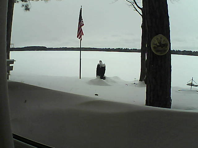 Whiteface Cam Image - Sun, 02/10/2019 2:33pm 