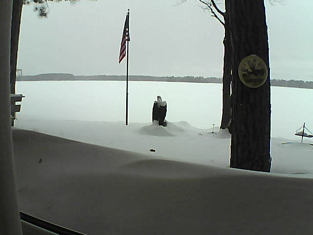 Whiteface Cam Image - Sun, 02/10/2019 2:43pm 