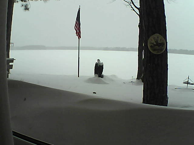 Whiteface Cam Image - Sun, 02/10/2019 2:53pm 