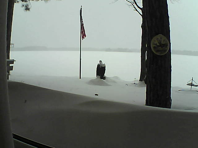 Whiteface Cam Image - Sun, 02/10/2019 3:03pm 