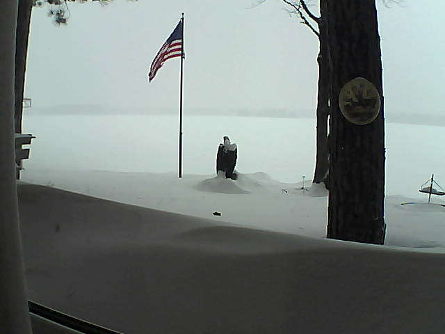 Whiteface Cam Image - Sun, 02/10/2019 3:23pm 