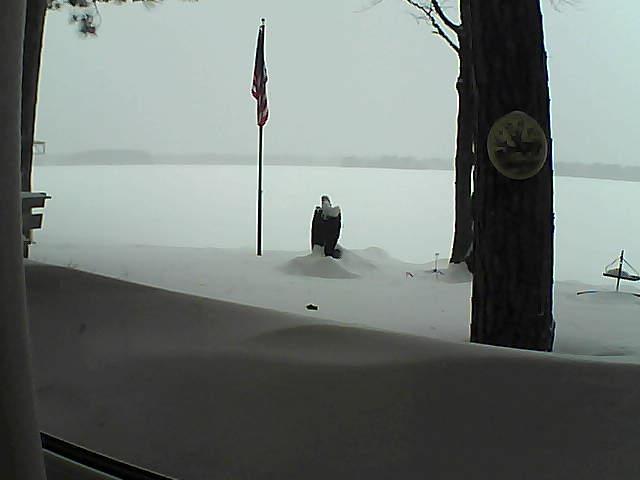 Whiteface Cam Image - Sun, 02/10/2019 3:33pm 