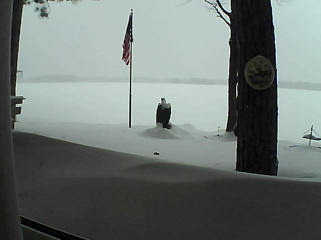 Whiteface Cam Image - Sun, 02/10/2019 3:43pm 