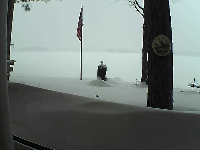 Whiteface Cam Image - Sun, 02/10/2019 4:23pm 