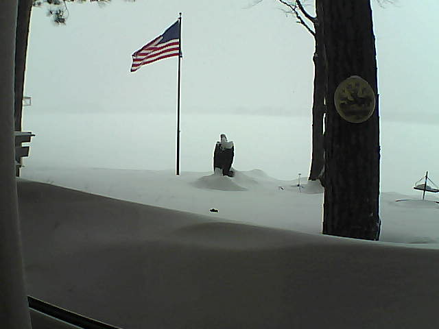 Whiteface Cam Image - Sun, 02/10/2019 4:33pm 