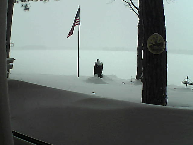 Whiteface Cam Image - Sun, 02/10/2019 5:23pm 