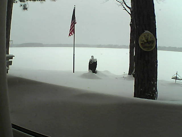 Whiteface Cam Image - Mon, 02/11/2019 7:11am 