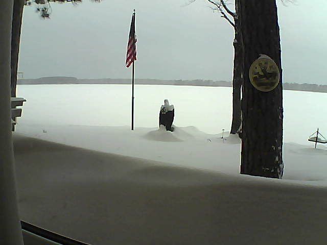 Whiteface Cam Image - Mon, 02/11/2019 8:01am 