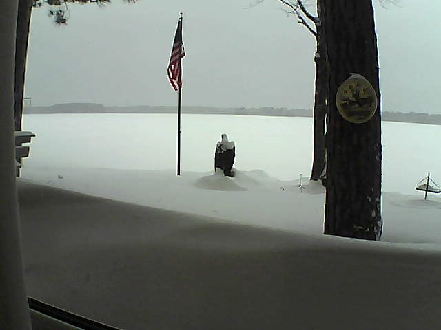 Whiteface Cam Image - Mon, 02/11/2019 8:41am 