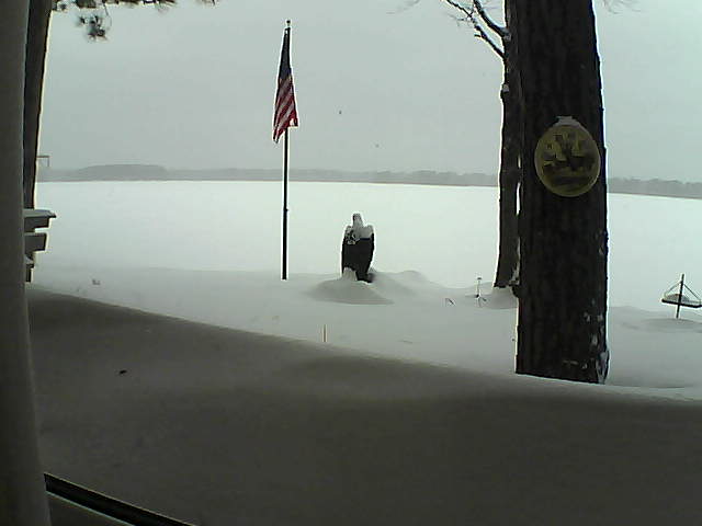 Whiteface Cam Image - Mon, 02/11/2019 9:21am 