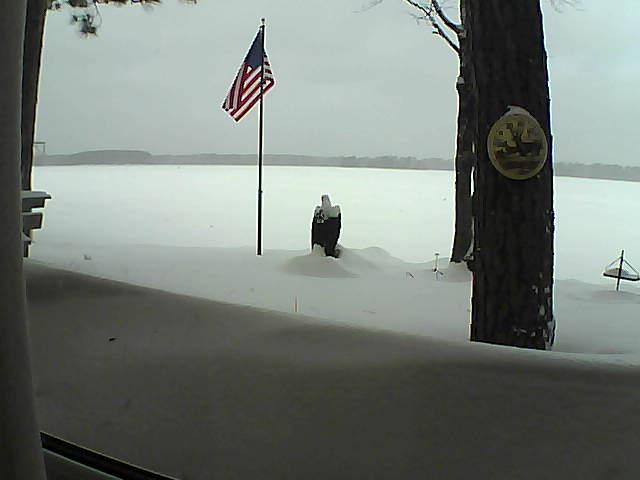 Whiteface Cam Image - Mon, 02/11/2019 10:11am 