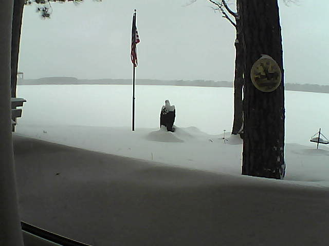 Whiteface Cam Image - Mon, 02/11/2019 10:51am 