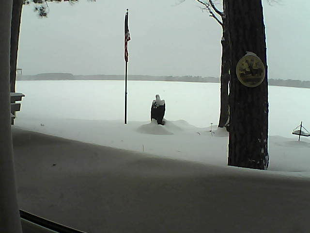 Whiteface Cam Image - Mon, 02/11/2019 11:01am 