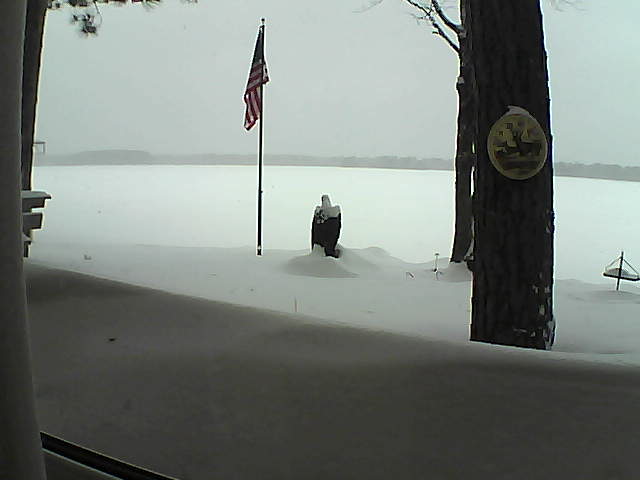 Whiteface Cam Image - Mon, 02/11/2019 11:11am 