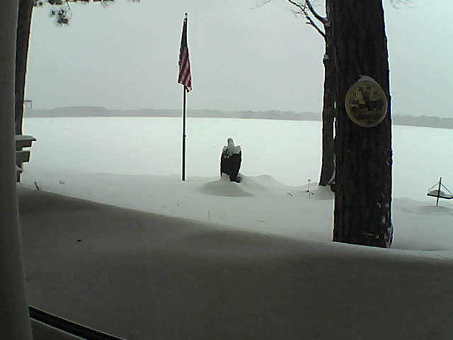 Whiteface Cam Image - Mon, 02/11/2019 11:31am 