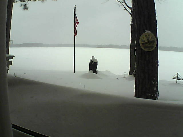 Whiteface Cam Image - Mon, 02/11/2019 12:01pm 